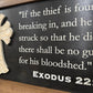 Decorative Gun Cabinet Wall-Mounted & Secure with a Cross and Exodus 22:2 - Gun safe To Securely Store Your Gun & Home Self Defense Gear